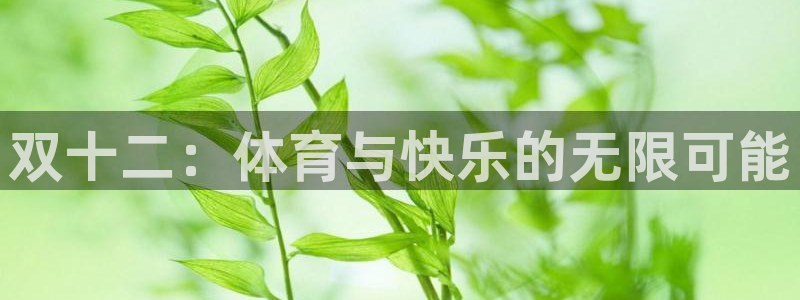 xc体育app官方网站