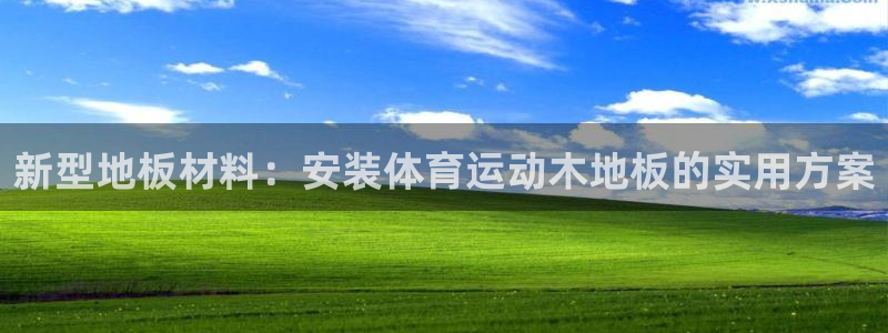xc体育