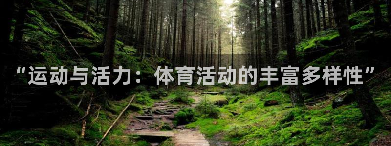 xc体育app官方网站