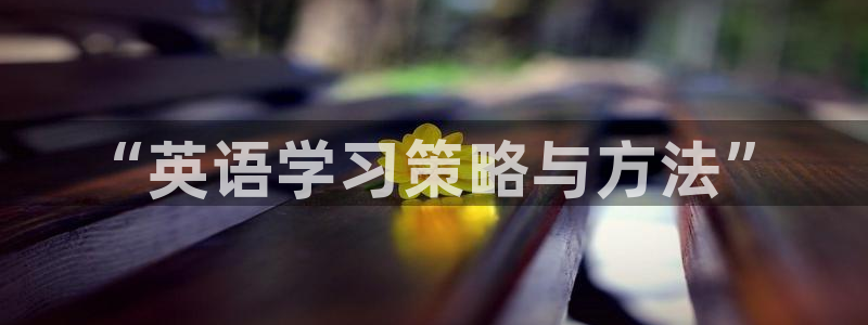 xc体育