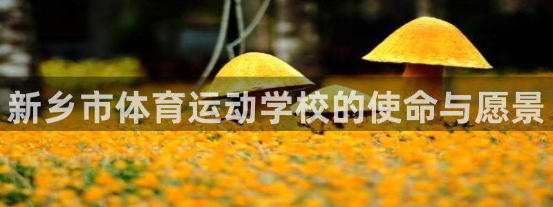 xc体育app官方网站：新乡市体育运动学校的使命与愿景