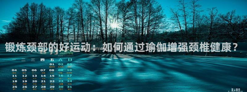 xc体育app官方网站