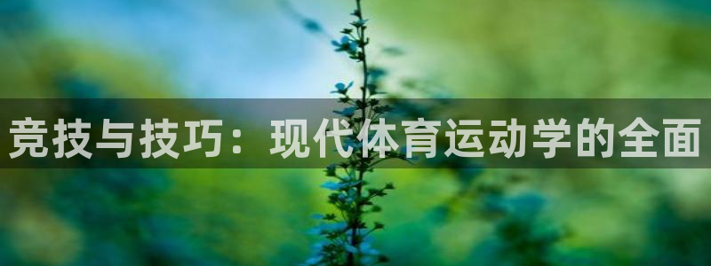 xc体育app官方网站