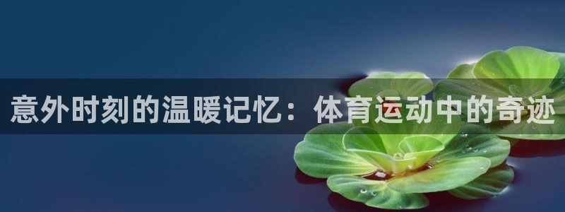xc体育app官方网站：意外时刻的温暖记忆：体育运动中的奇迹