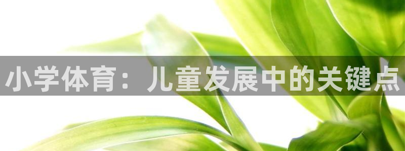 xc体育：小学体育：儿童发展中的关键点