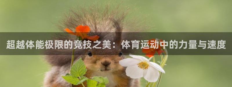 xc体育：超越体能极限的竞技之美：体育运动中的力量与速度