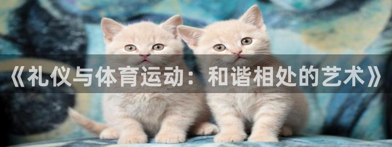 xc体育app官方网站